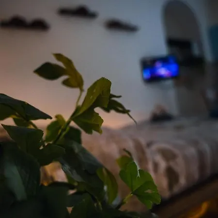 La Casa Nel Bosco